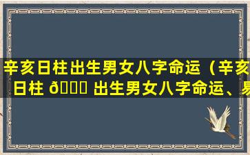 辛亥日柱出生男女八字命运（辛亥日柱 💐 出生男女八字命运、易安居）